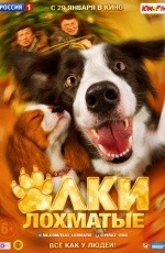 Елки лохматые (2014) Елки лохматые (2014)