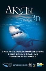 Акулы (2004)