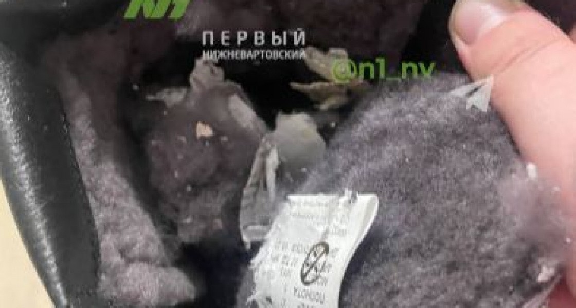 OZON прислал жительнице Нижневартовска труп животного в коробке с обувью. ФОТО