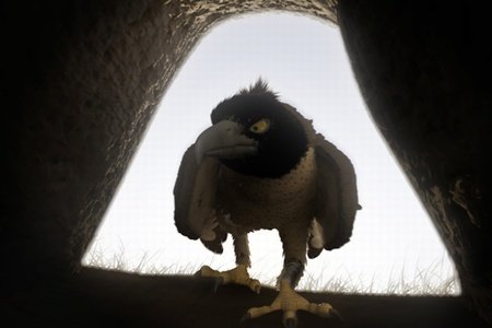 Джок (2011)
