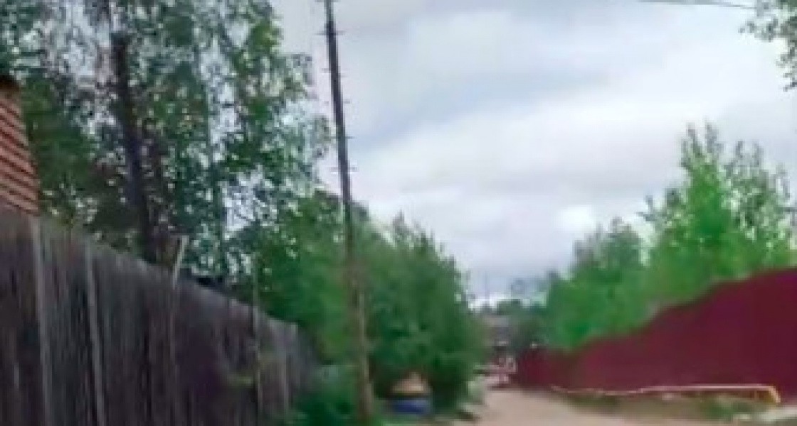 Следователи проведут проверку после нападения собак на подростка в Нижневартовске