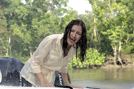 В электрическом тумане (2009)