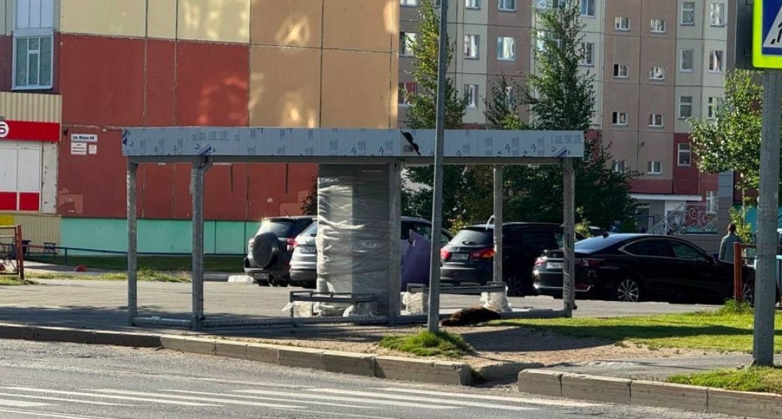 Власти Нижневартовска успокоили вартовчан, которых разочаровали новые теплые остановки