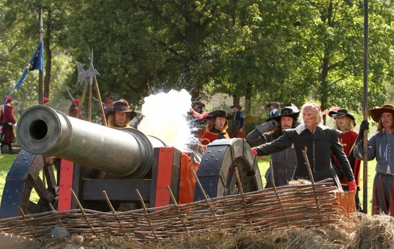 Три мушкетера (2013)
