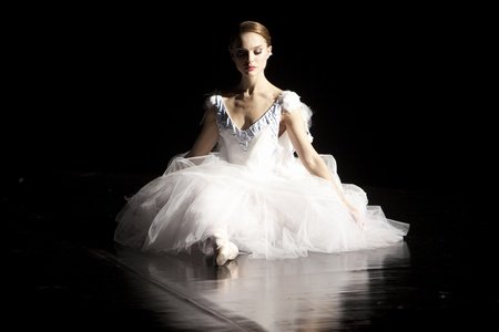 Чёрный лебедь  (2010)