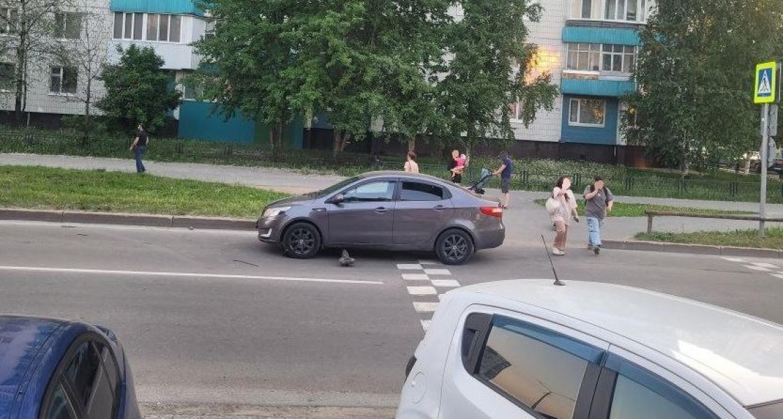 В Нижневартовске за один день на дорогах пострадали трое детей
