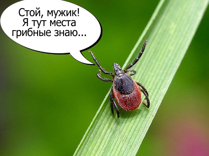 Вартовчанам предложили привиться против смертельной инфекции