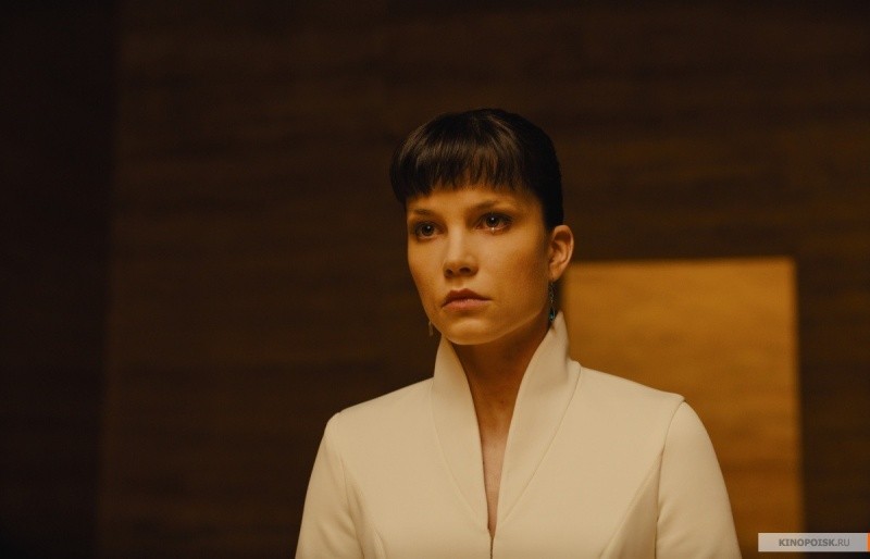 Бегущий по лезвию 2049 (2017)