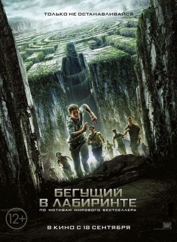 Бегущий в лабиринте (2014) Бегущий в лабиринте (2014)