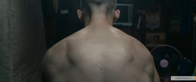 Бои без правил (2017)