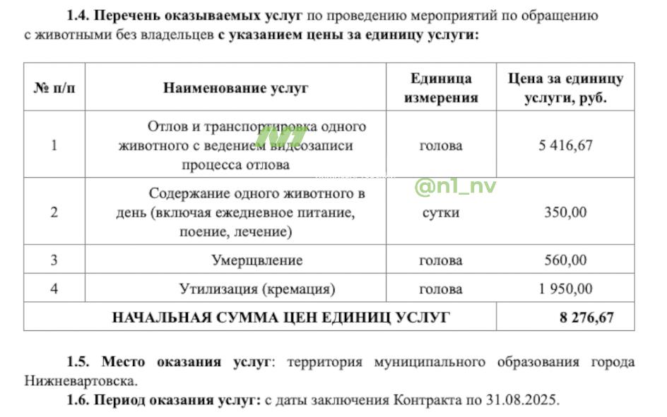 Стало известно, сколько стоит смерть бездомной собаки в Нижневартовске