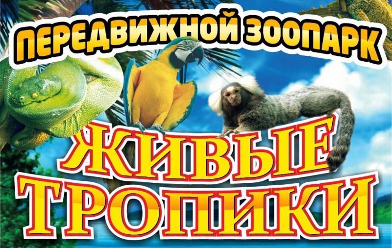 Выставка-зоопарк «Живые тропики» Выставка-зоопарк «Живые тропики»