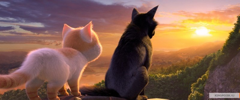 Большой кошачий побег (2018)