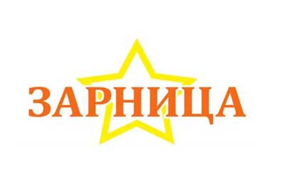 Военно-спортивная игра «Зарница»