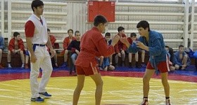 Первенство города по самбо, приуроченное «Всероссийскому дню самбо»