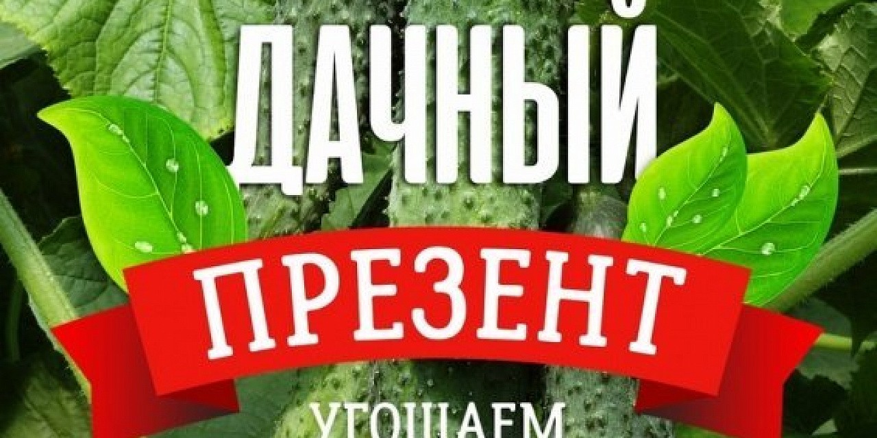 Дачный сезон Дачный сезон