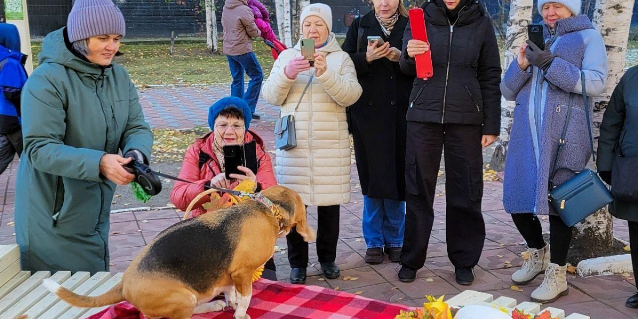 Встреча любителей мобильной фотографии «Мобилограф»