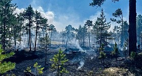В ХМАО лесных пожаров стало меньше, но их площадь разрослась