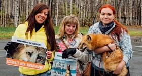 Акция «Животные - не одежда!»