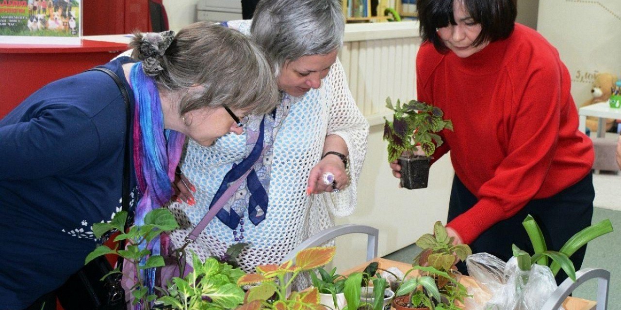 Встреча любителей комнатных растений «Зеленый дом»