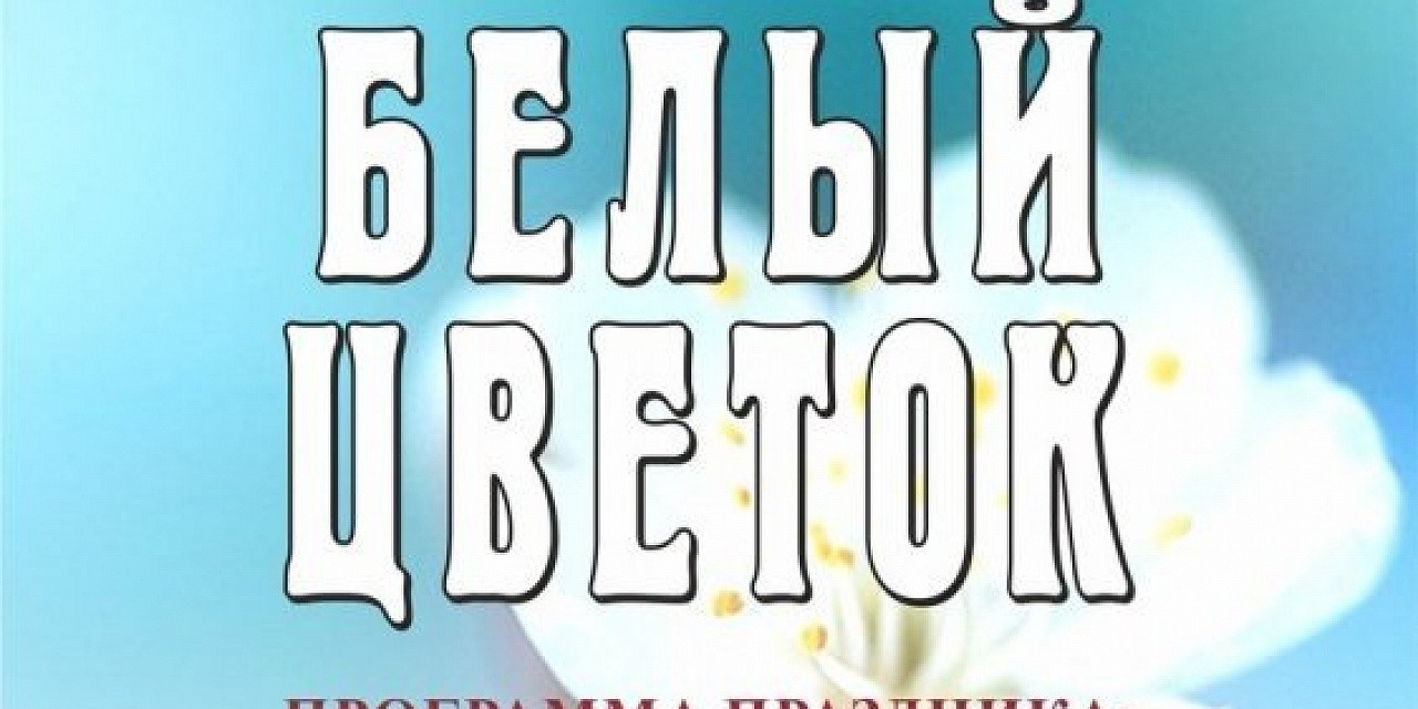 День благотворительности и милосердия – проведение акции «Белый цветок»