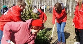 Посадка аллеи ветеранов