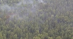 В ХМАО потушили почти все лесные пожары