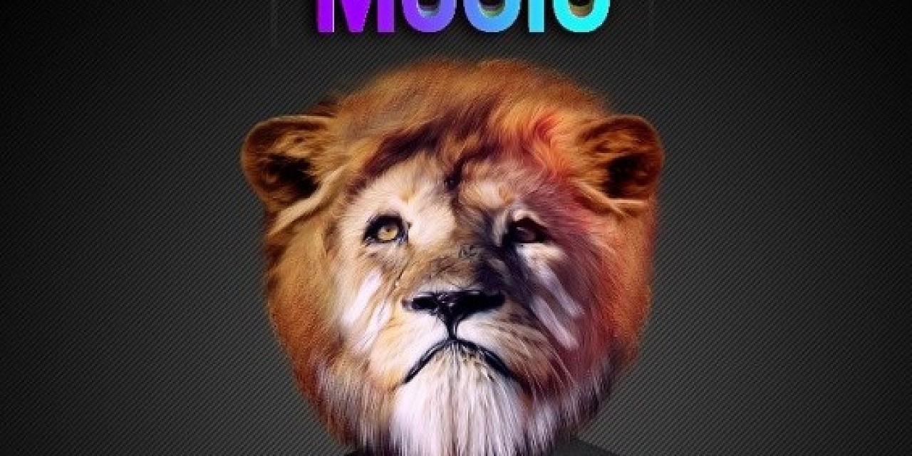 Color bass music Color bass music