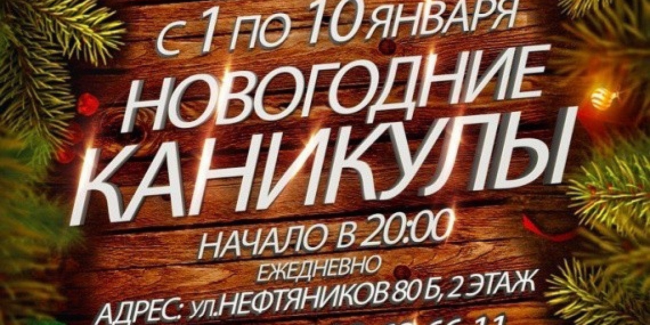 Новогодние каникулы