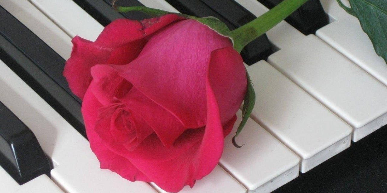 Весенние мотивы Весенние мотивы