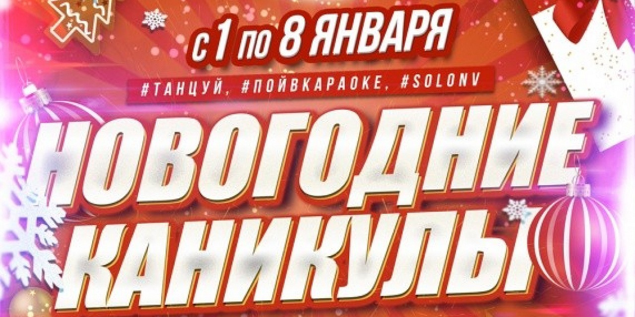 Новогодние каникулы