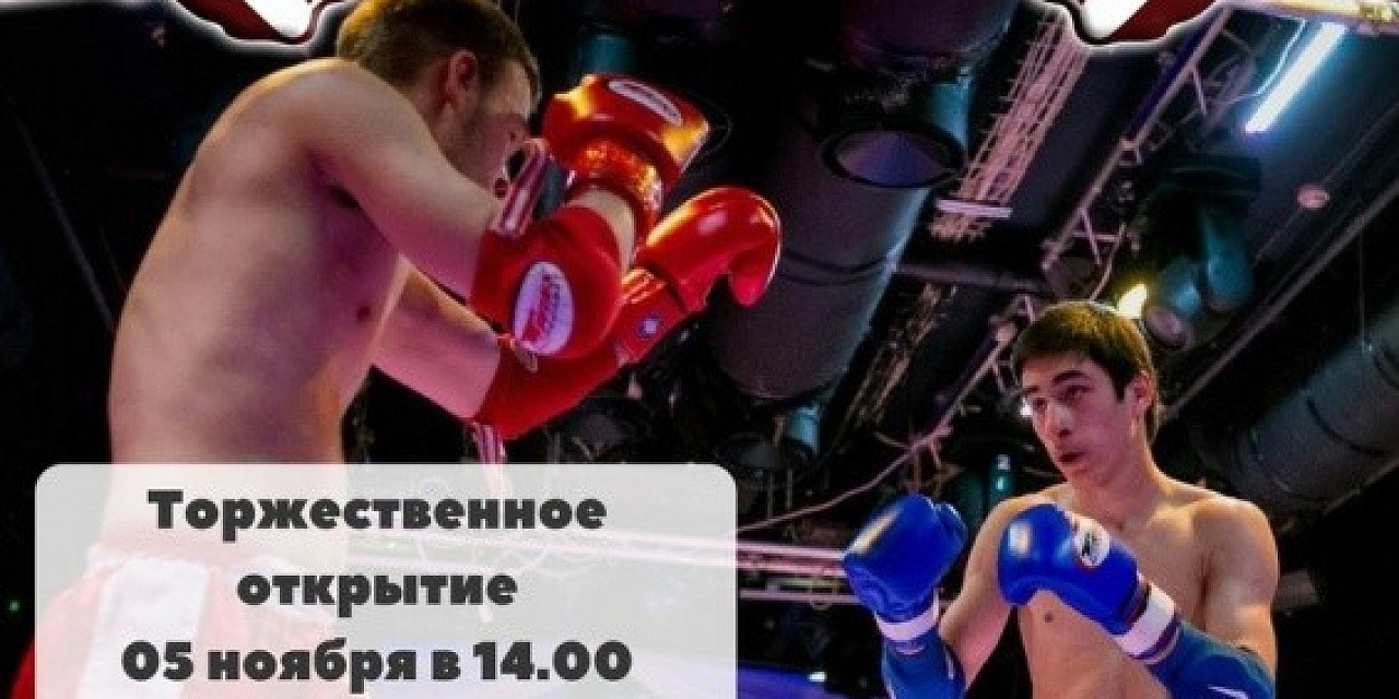 Открытый чемпионат ХМАО-Югры среди мужчин и женщин по тайскому боксу