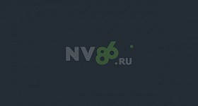 В Нижневартовске не могут найти бездомную собаку, которая гоняет детей по двору