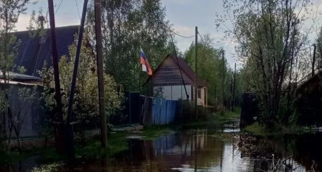 В Нижневартовске из-за высокого уровня воды может пострадать большинство дач в зоне подтоплений