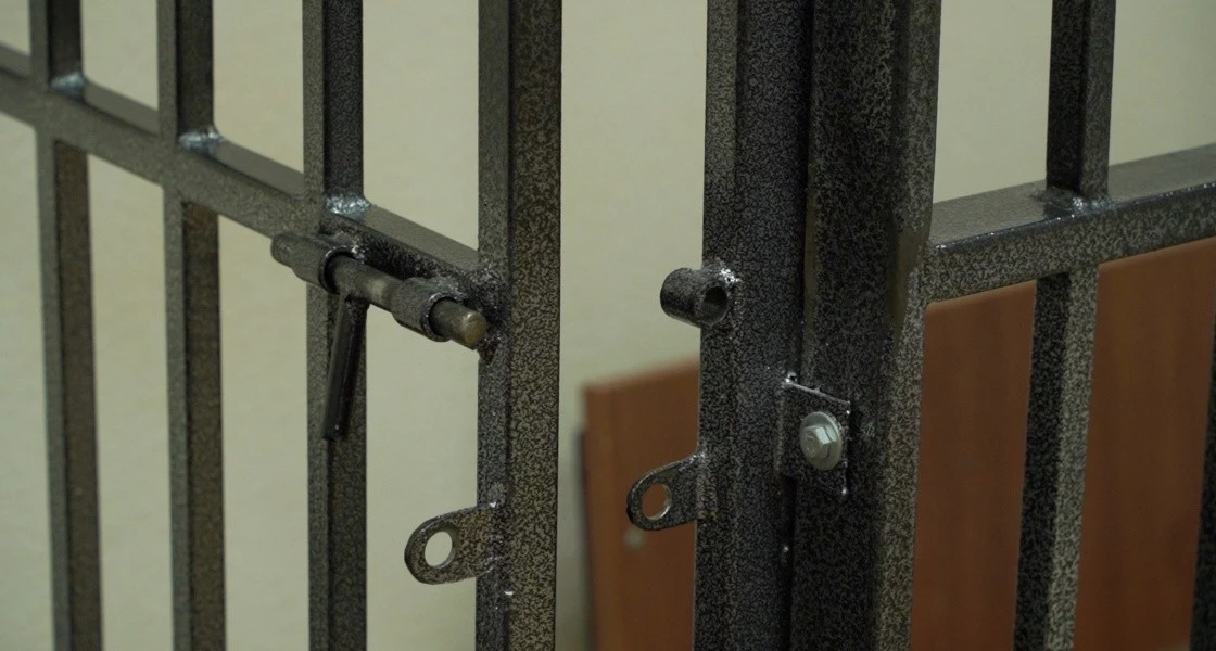 Иногородний курьер получил 2,5 года колонии за развод миллионерши из Нижневартовска