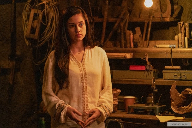 Рэмбо: Последняя кровь (2019)