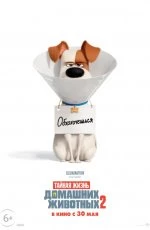 Тайная жизнь домашних животных 2 (2019)