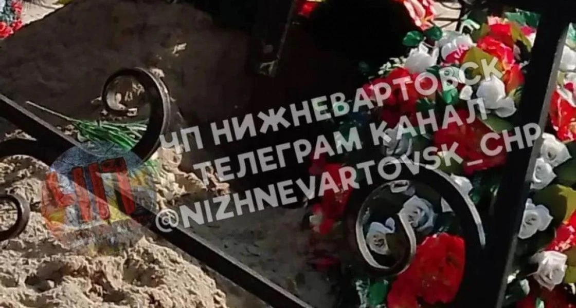 В Нижневартовске кладбищенские медведи разрывают могилы