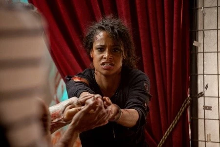 Коллекционер 2 (2012)